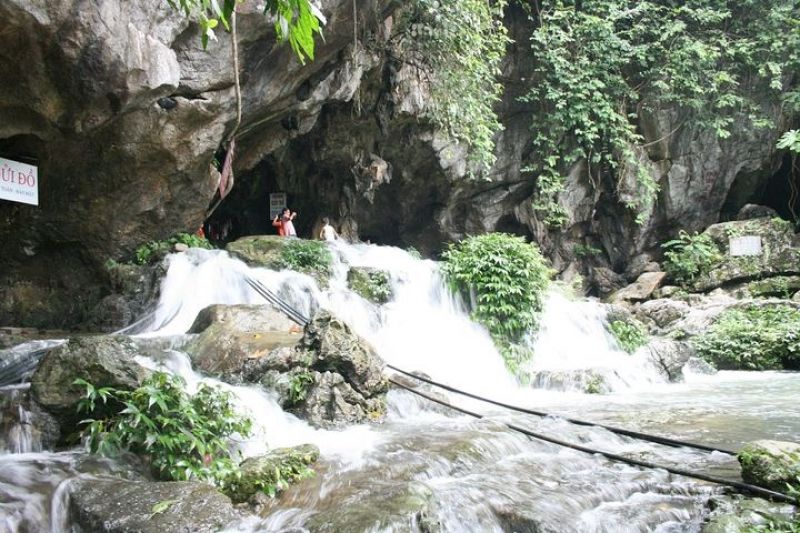 chè thái nguyên