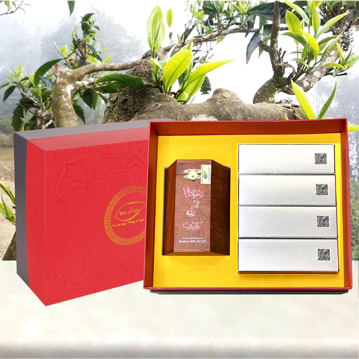 Hộp Quà Trà Bạch Ngọc Shan 500g - Mầm Trà Cổ Thụ SG